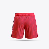 Shorts de Muay Thai personnalisés, fabriqués en usine, sublimation, shorts de boxe, vêtements d'arts martiaux MMA