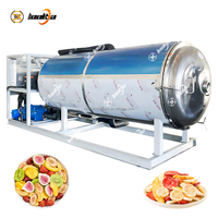 Petit Lyophilisateur Industriel sous Vide Continu pour Aliments et Fruits, Machine de Lyophilisation avec CE