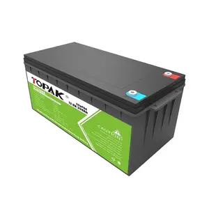 TOPAK 12 V 100Ah 150Ah 200Ah 300Ah batteria solare agli ioni di litio 12 volt Lifepo4 batteria con BMS