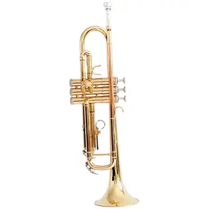 Bb Standard Professional Lacquer Gold-plated Trumpet