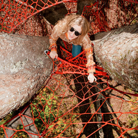 NetsTribe Système d'escalade en corde personnalisé pour aire de jeux en forêt, auvent forestier, solution pour parc d'activités naturelles en plein air pour enfants et complexe hôtelier