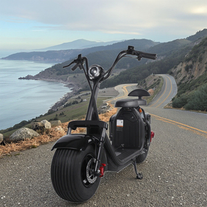 Precio de fábrica 60V <span class=keywords><strong>Harley</strong></span> DIY Grado Scooter eléctrico para pilotos para motocicletas y coches para uso industrial - Product Image 3