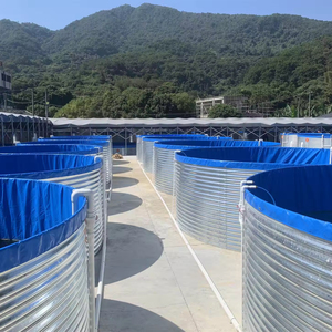 Tanque de Acero Galvanizado para Piscicultura al Aire Libre, Tecnología RAS, Capacidad de 1000L-500000L para Cultivo de Peces y Camarones, Venta al Por Mayor - Product Image 4