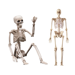Halloween a grandezza naturale <span class=keywords><strong>scheletro</strong></span> gigante di Halloween all'aperto umano divertente Mini 8ft figura <span class=keywords><strong>giocattolo</strong></span> grande 5ft 12ft <span class=keywords><strong>scheletro</strong></span> per la vendita - Product Image 3
