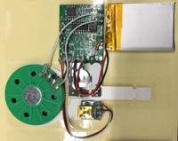 Modulo Audio Programmabile Mini USB con Stampa UV Portatile per Cartoline Promozionali, Biglietti d'Auguri, Carillon e Giocattoli
