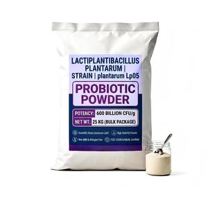 Poudre Probiotique Lactiplantibacillus plantarum Lp05 600 Milliards UFC/g Ingrédient en Vrac Haute Puissance - Product Image 1