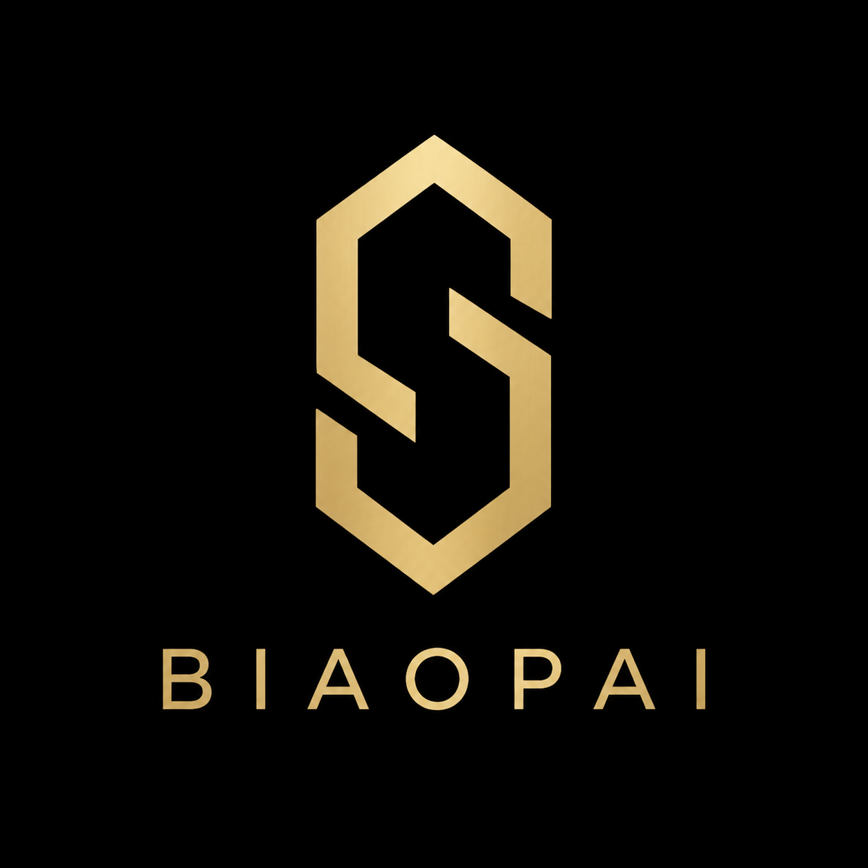 Dongguan BiaoPai Industrial Co., Ltd. logo
