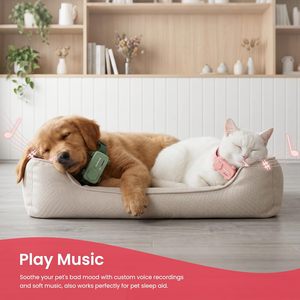 GlocalMe PetPhone เครื่องติดตามสัตว์เลี้ยงพร้อมบริการ 1 ปี ระบบ GPS ในตัว โทรได้สองทางสำหรับสุนัขและแมว - Product Image 4