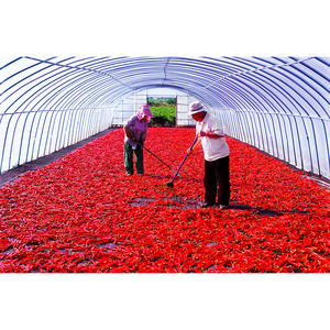 [Biggalchan 130g] Poudre de piment rouge Gochugaru coréen de qualité supérieure pour la fabrication du kimchi, couleur vive - Product Image 1