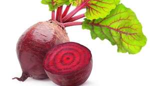 Polvere di Barbabietola Pura di Alta Qualità, Outlet di Fabbrica Marca H&Y - Product Image 3