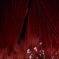 Rideau décoratif de luxe moderne en velours pour mariage, premier anniversaire de bébé, fiançailles, fond rouge, décoration XWLC Royal Diamond