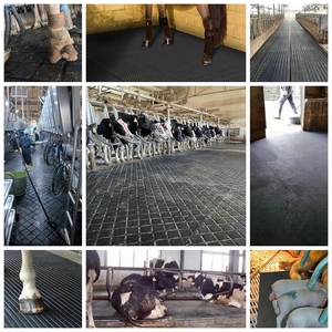 Tapis <span class=keywords><strong>en</strong></span> caoutchouc pour vaches / Tapis pour enclos à vaches / Revêtement antidérapant pour vaches sous le grattoir à <span class=keywords><strong>fumier</strong></span> - Product Image 3