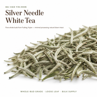 Thé blanc en vrac Fuding Baihao Yinzhen Silver Needle, torréfié au charbon, vente en gros, OEM, marque privée