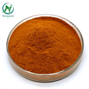 ニューグリーンベストプライスPygeumAfricanumエキスパウダー価格10:1 - Product Image 3