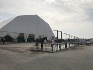 Chất Lượng Tốt Thể Thao Lớn Ổn Định Cưỡi Ngựa Đấu Trường Lều Cho Cưỡi Ngựa Trò Chơi Trong Châu Âu - Product Image 6