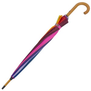 Chất Lượng Cao Cầu Vồng Màu Sắc 16 Sườn 100% Nylon Tán Hướng Dẫn Sử Dụng Mở Biểu Tượng Tùy Chỉnh Thẳng Ô Với Bằng Gỗ Crook Xử Lý & Trục - Product Image 6