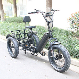 48V Lunbund 20 pouces tricycle vélos 30-50 Km/h vélo à trois roues vélo avec une <span class=keywords><strong>remorque</strong></span> cargo <span class=keywords><strong>pour</strong></span> adultes - Product Image 1