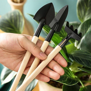 Set di mini attrezzi da giardinaggio - Piccola pala, rastrello, forchetta per piante grasse, fiori, piante da interno, giardinaggio sul balcone - Product Image 2