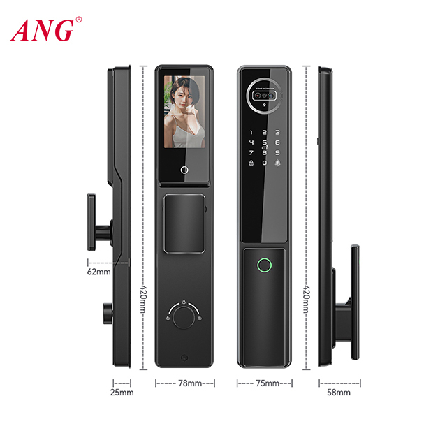 Ttlock Intercom Automatic Electric Door Lock Smart Face Recognition Palm Vein Fingerprint Lock for Gate Door · image 5