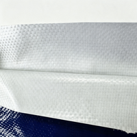 Sac en polypropylène tissé PP laminé BOPP imprimé sur mesure 10kg 25kg 50kg pour engrais organique et charbon de bois