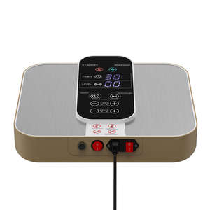 2025 nuevo P999 masajeador de pies de energía térmica Thz Tera P90 dispositivos de terapia de vida Oly instrumento terapéutico Terahertz - Product Image 5