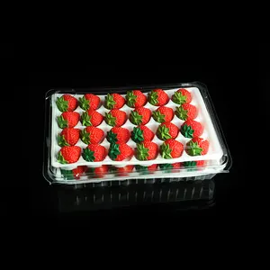 Tomate cereza bandeja de frutas recipiente transparente caja de fresas de fresa de alimentos de sellado plástico reciclable aceptar