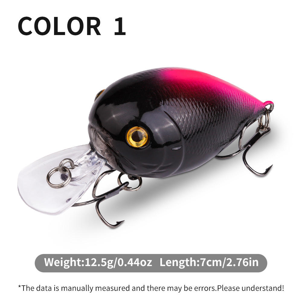 ปีแรกของมหาวิทยาลัย