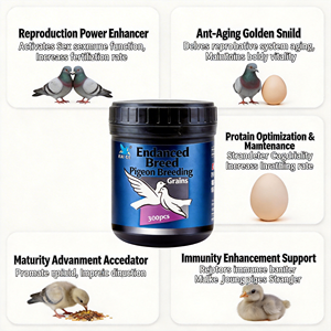 Pigeon mâle de qualité Champion Treasure Elite, pour la reproduction et le soutien de l'endurance des pigeons de course, Pro, riche en protéines, pour la performance immunitaire et la victoire - Product Image 2