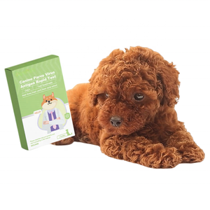 Usmileपेट नव विकसित प्लास्टिक कैनाइन परावो वायरस एंटीजन रैपिड टेस्ट कोलोइडल गोल्ड विधि एंटीजन टेस्ट स्ट्रिप - Product Image 1