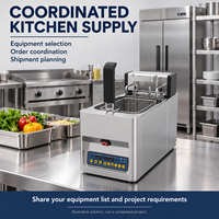 Friteuse électrique professionnelle de comptoir 8L, cuve unique, panier unique, 3kW pour les restaurants de restauration rapide et les cuisines de traiteur
