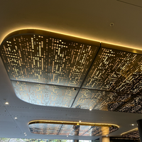 Panneau en aluminium perforé doré sur mesure de 0,21 mm à 6 mm pour système de plafond spécial et revêtement mural architectural