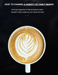 Machine à expresso italienne professionnelle automatique 1560W avec écran tactile et contrôle de la température pour usage domestique - Product Image 2