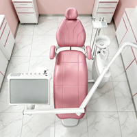 Fauteuil dentaire en cuir PU de type standard haute performance SL8700 de couleur rose avec crachoir en céramique rotatif pour clinique