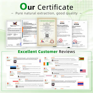 Suplemento para Aumentar Masa Muscular de Marca Privada, <span class=keywords><strong>Complemento</strong></span> para Aumentar Peso, Nutrición Sólida, Proteína en Polvo para Aumentar Masa Muscular - Product Image 6