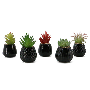 Bonsái de plantas <span class=keywords><strong>suculentas</strong></span> artificiales de cerámica natural, juego de macetas para decoración del hogar - Product Image 1