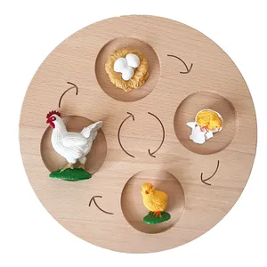 Montessori Animals Life Cycle Board Set Lifestyle Stages Kids Teaching Tools Animal Growth Cycle Wooden Toy Montessori