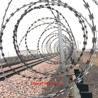 Alambre de Púas Galvanizado de Hierro, Precio de Fábrica, Rollo de Alambre de Púas de 2.5 mm de Diámetro, Tipo Cruzado para Cercas de Seguridad