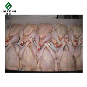 Kalite lal dondurulmuş bütün tavuk kalite toptan Premium kalite dondurulmuş bütün tavuk - Product Image 3