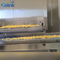 Congélateur tunnel IQF à capacité personnalisée, machine de congélation rapide à bande transporteuse en acier inoxydable pour usine alimentaire