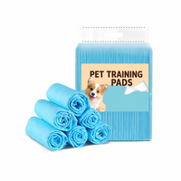 Tapis d'entraînement pour animaux de compagnie, tapis absorbants pour chien, anti-fuites, anti-odeurs, antidérapants, tapis de toilette pour chiot