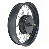 Kit de conversion de vélo électrique à pneus larges avec moteur de moyeu 60V 20x4 3000W 48V/72V à aimant permanent sans balais, pour usage domestique, IP65