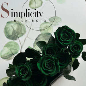 Scatola in acrilico rosa immortale per fidanzata ogni amore nuovo maniero rosa verde scuro - Product Image 6