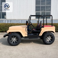 Buggy à essence 250CC avec pare-brise transparent et grandes roues pour la conduite sur les sites de glamping