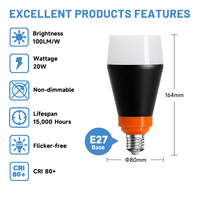 Ampoule LED rechargeable avec port Type-C 20W 30W, batterie lithium haute puissance, lampe d'urgence portable pour le camping et les marchés nocturnes