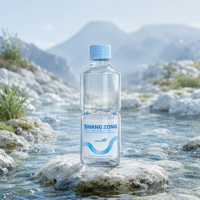 Etiquetas Personalizadas para Botellas de Agua Natural - Etiquetas Adhesivas BOPP Impermeables para Marca de Agua Mineral y Agua de Mesa de 360 ml