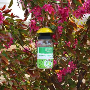 Piège à insectes Haierc de haute qualité pour usage extérieur, piège à mouches, piège à mouches à la bouteille - Product Image 2