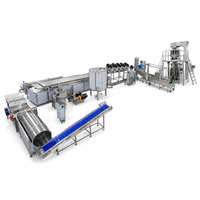 Ligne de production entièrement automatique de chips de banane et de plantain, machine de fabrication de chips de banane, capacité de production de 100 kg/200 kg/500 kg/h