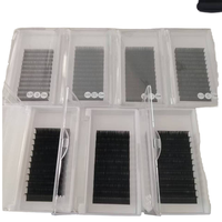 Extensions de cils individuelles professionnelles pour salon, cils noirs denses avec étui transparent pour artiste en cils, volume