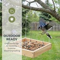 Mangeoire en bois de bambou BH pour oiseaux, plateforme légère en bois avec plateau de drainage pour garder les graines fraîches