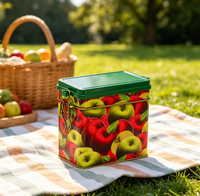Boîte en fer blanc rectangulaire JH transparente et brillante avec couvercle à charnière pour le stockage du café, du thé, des fruits secs, du pain et de la gelée – Promotion Cadeau